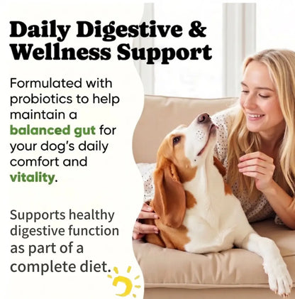 In-Stock Dog Probiotic Chewables - Canine Nutritional Supplement with Multivitamins, Fructooligosaccharide, Delicious Chicken Flavor, 6.35 Oz (180G), 90 Soft Chews for All Ages Puppy Intestinal Flora Balance, Healthy Stomach & Daily Wellness, Sohochic