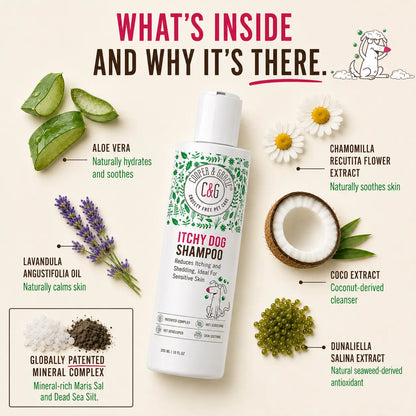 Ingredients inside the itchy dog shampoo
