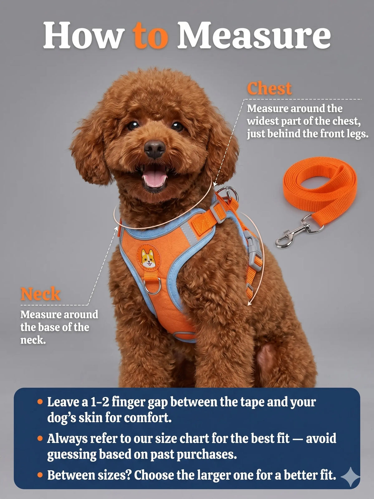 How to measure your pet for a harness