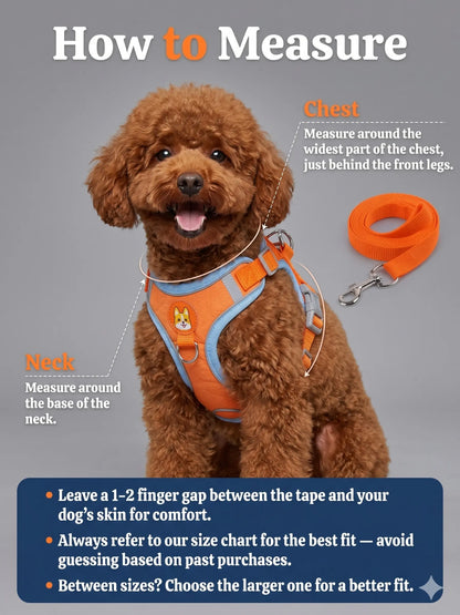 How to measure your pet for a harness