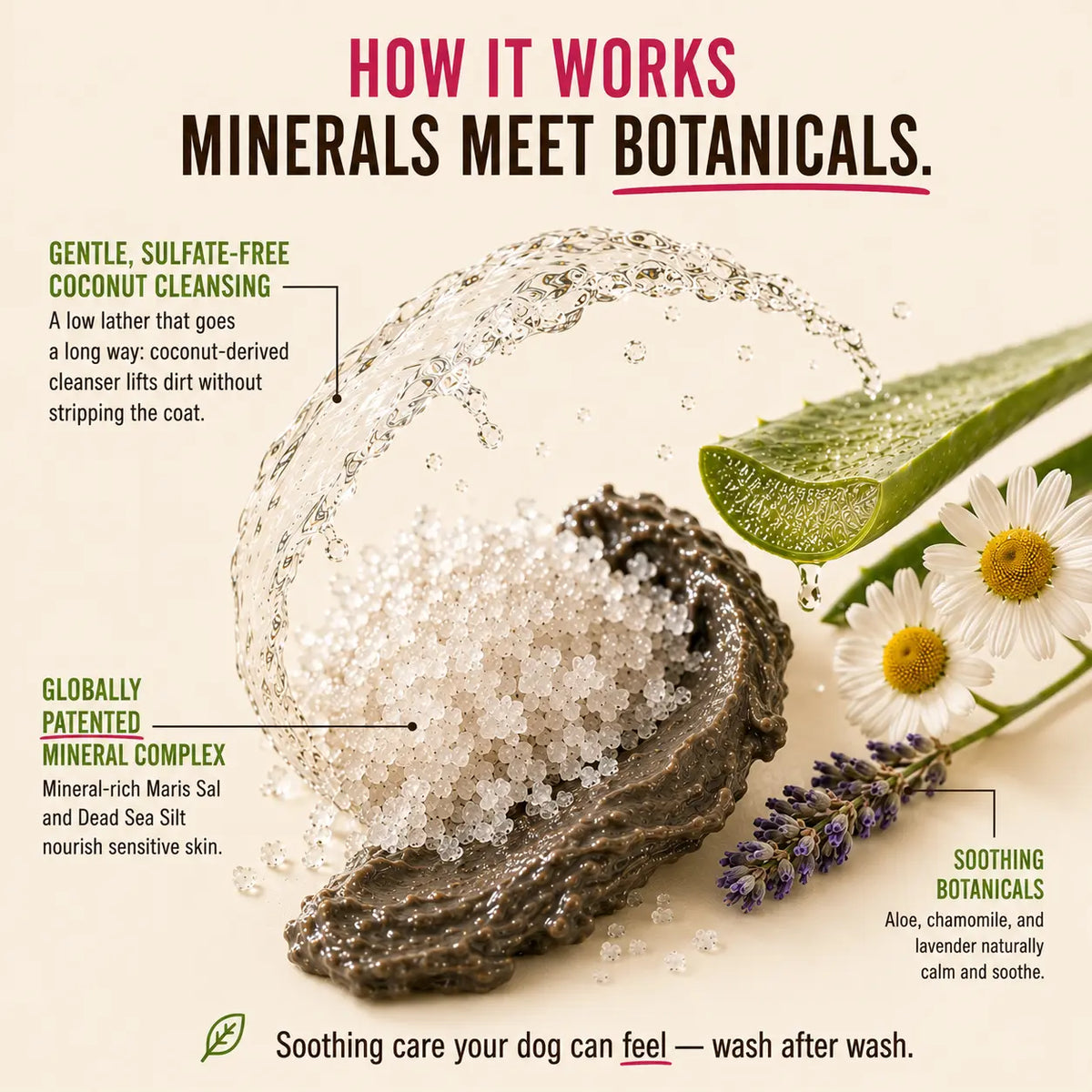 How the itchy dog shampoo works: minerals and botanicals