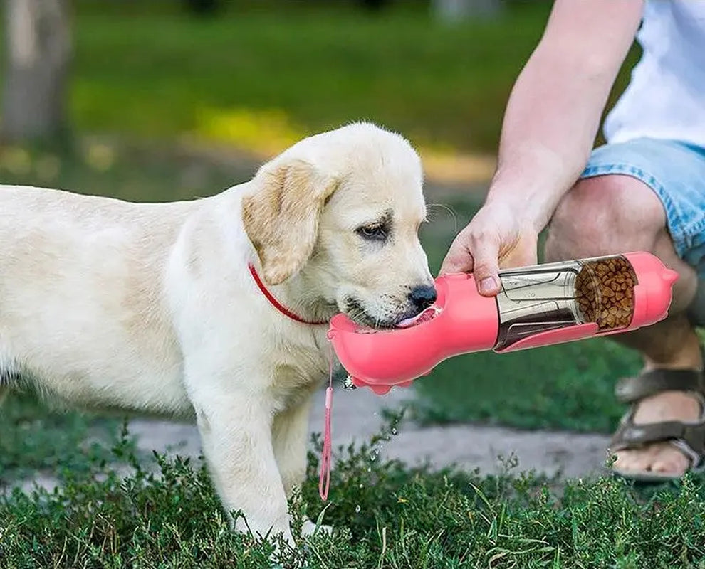 Dog drinking from the portable travel bottle