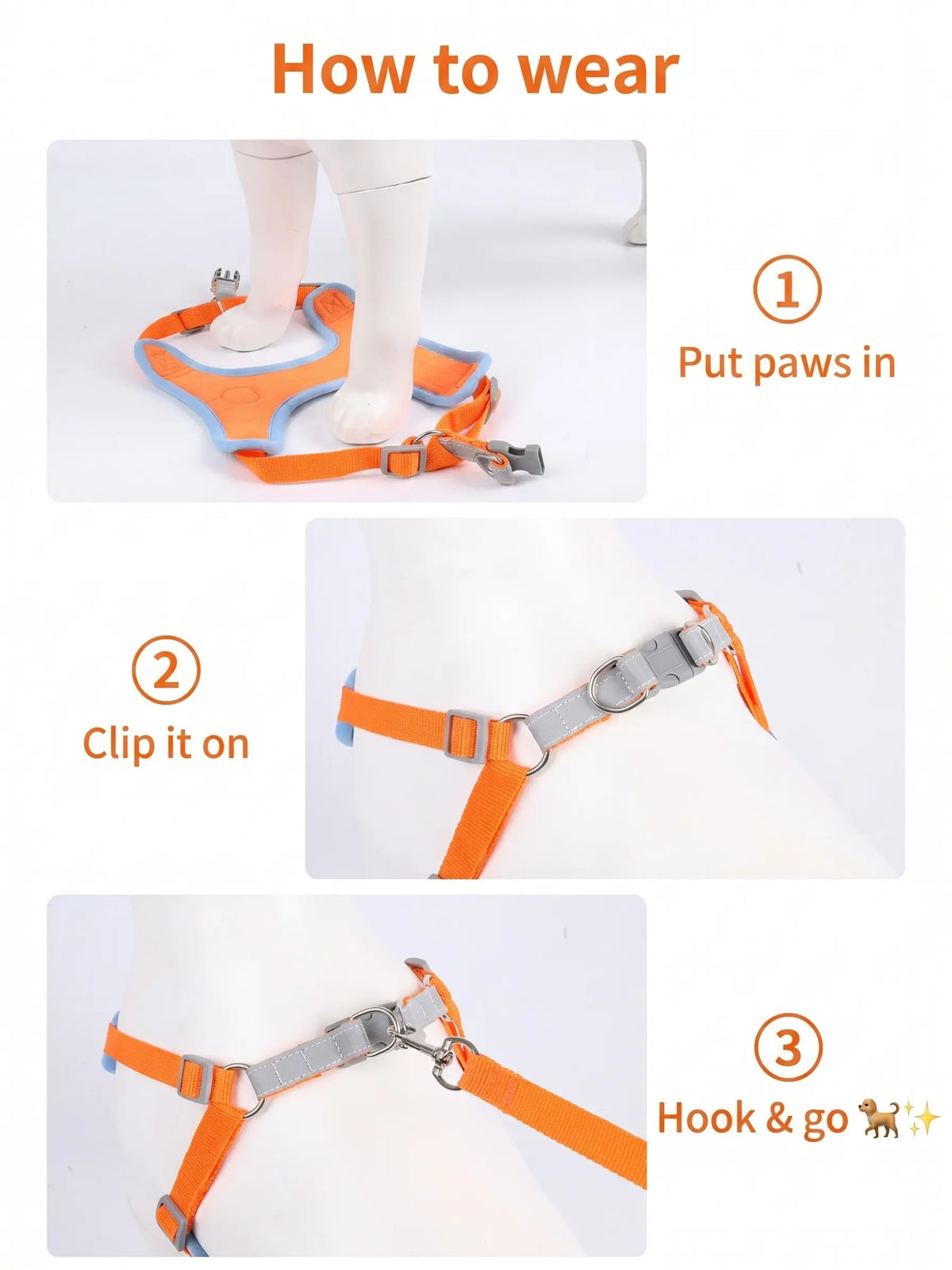 How to put on the pet harness in 3 steps