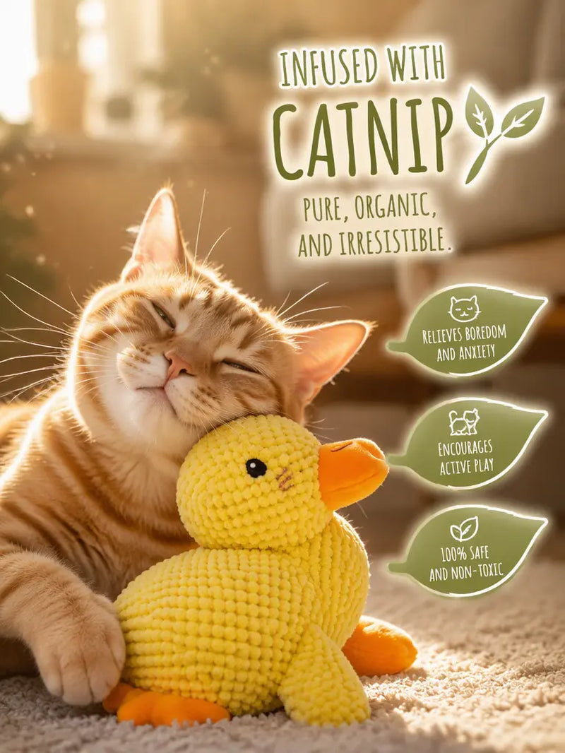 Duck cat toy infused with catnip