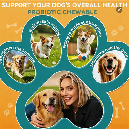 In-Stock Dog Probiotic Chewables - Canine Nutritional Supplement with Multivitamins, Fructooligosaccharide, Delicious Chicken Flavor, 6.35 Oz (180G), 90 Soft Chews for All Ages Puppy Intestinal Flora Balance, Healthy Stomach & Daily Wellness, Sohochic