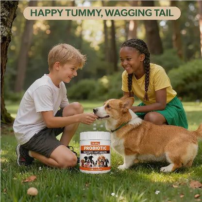 In-Stock Dog Probiotic Chewables - Canine Nutritional Supplement with Multivitamins, Fructooligosaccharide, Delicious Chicken Flavor, 6.35 Oz (180G), 90 Soft Chews for All Ages Puppy Intestinal Flora Balance, Healthy Stomach & Daily Wellness, Sohochic