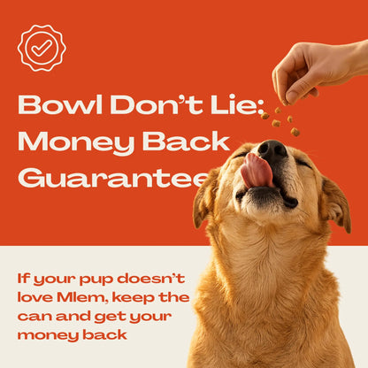 Mlem - Beef Topper Spray for Dogs, Pet Food Topper for Canine Nutrition Enhancement