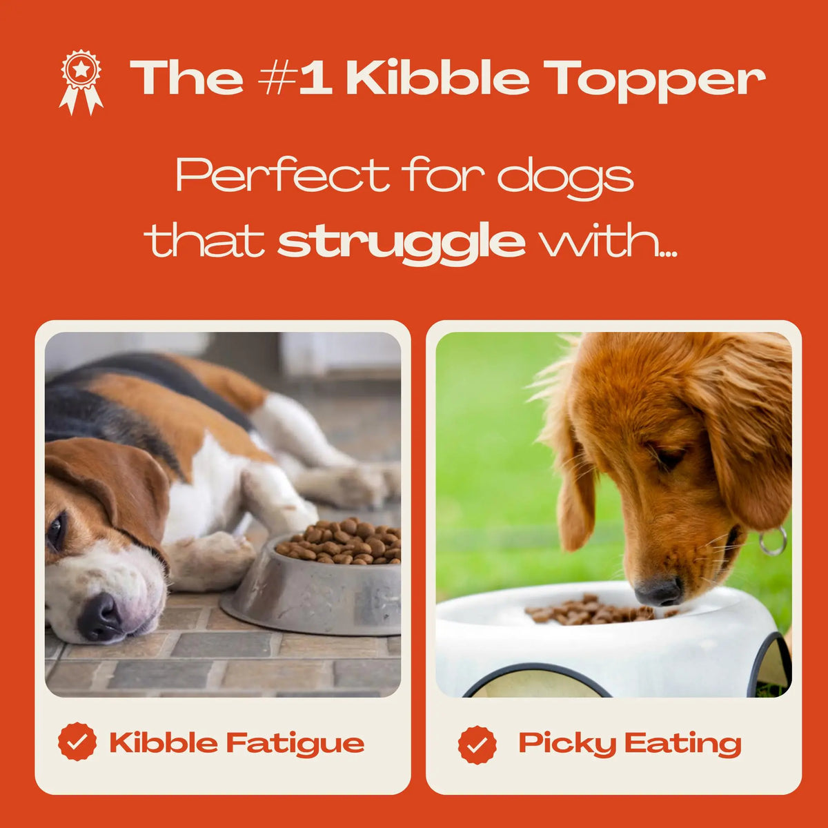 Topper spray for dogs with kibble fatigue and picky eating